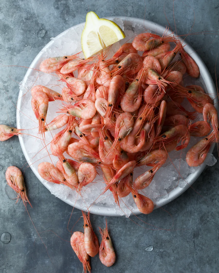 Fresh shrimp on ice with a lemon wedge